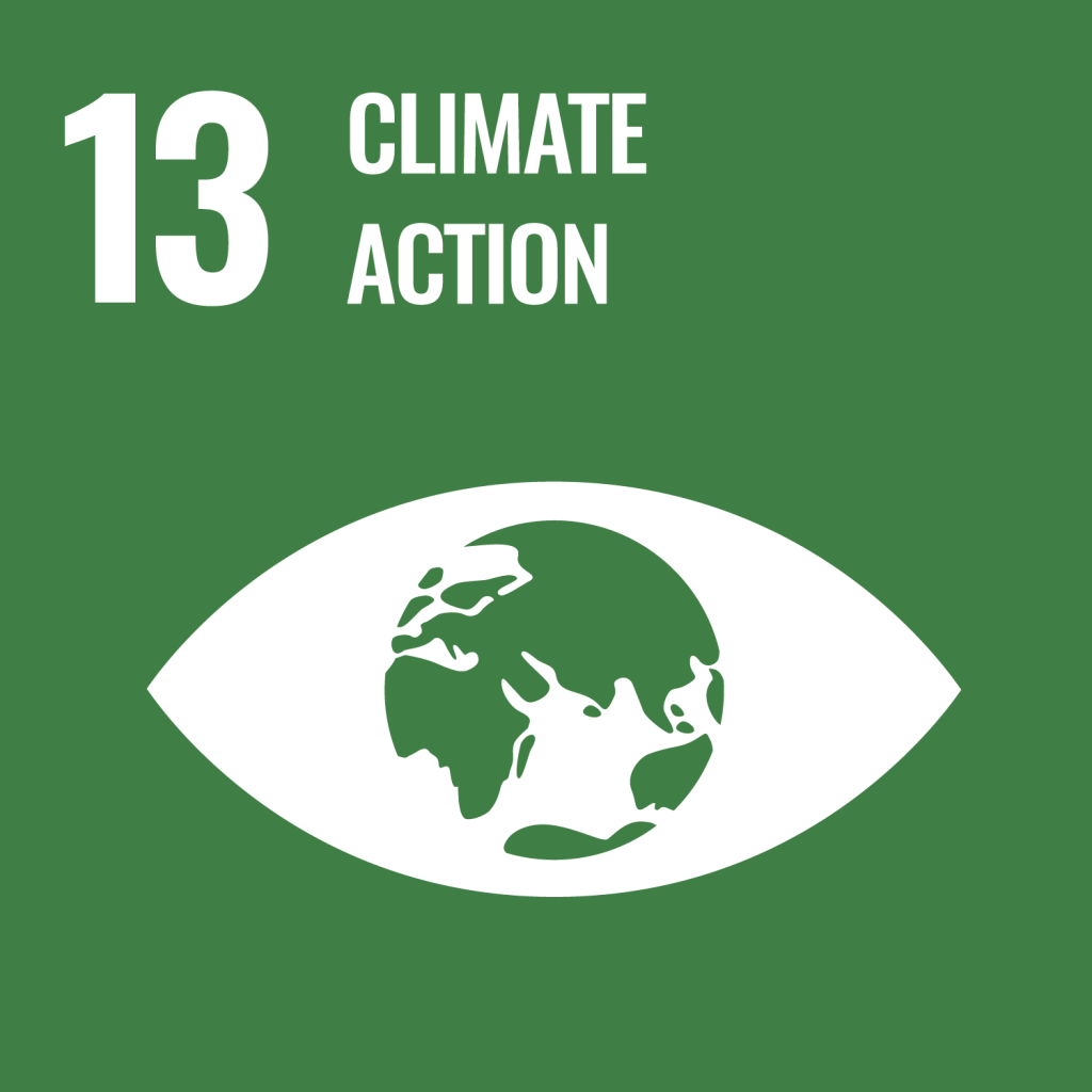 SDG 13 - climate action