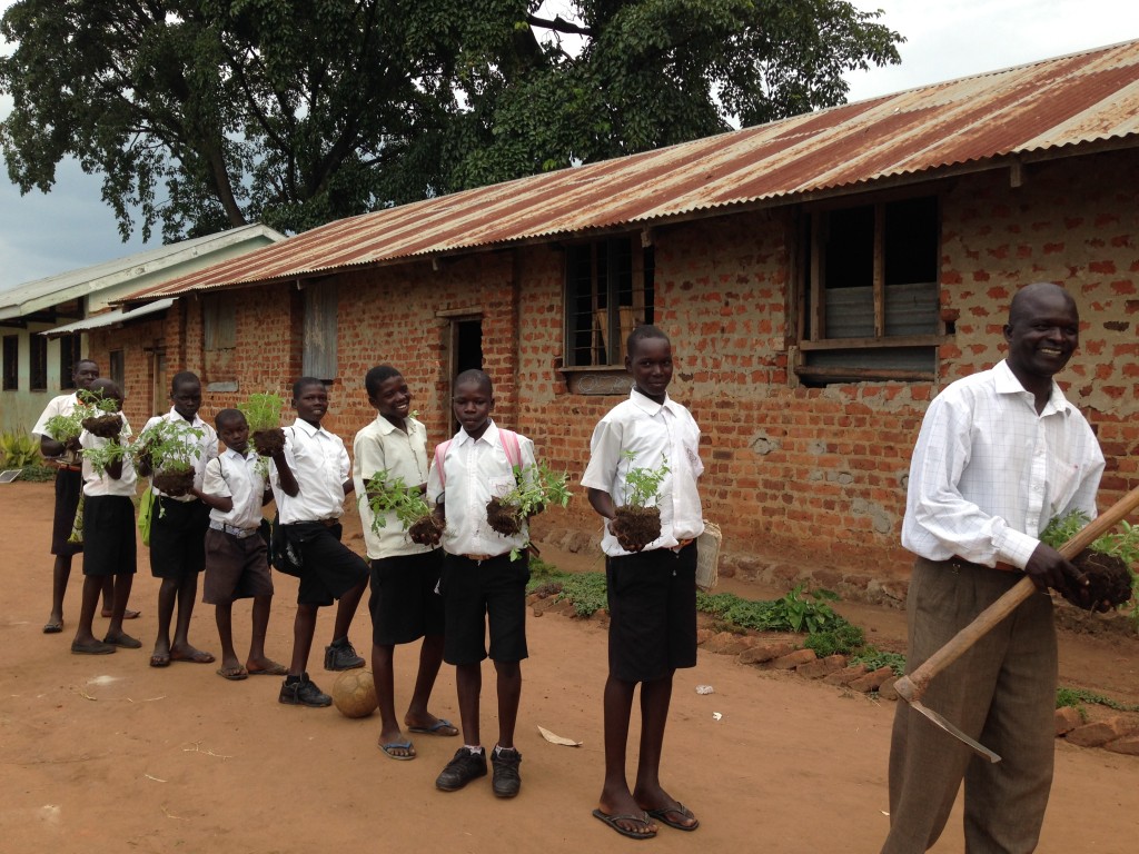 School Gardens Scheme at Anaka P7