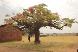 Bell tree