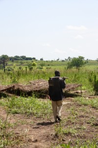 Sam in the field