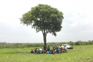 Famers meeting around the big tree- Tedi Primary School