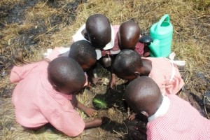 nursery pupils planting 2