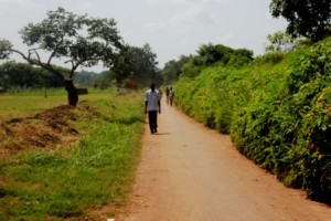 road to willacic primary