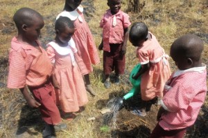 nursery pupils planting 6