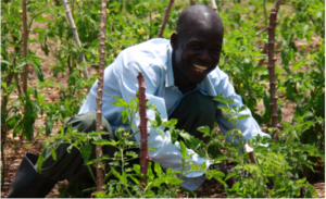 farmer