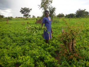 Sarah in her gnut garden