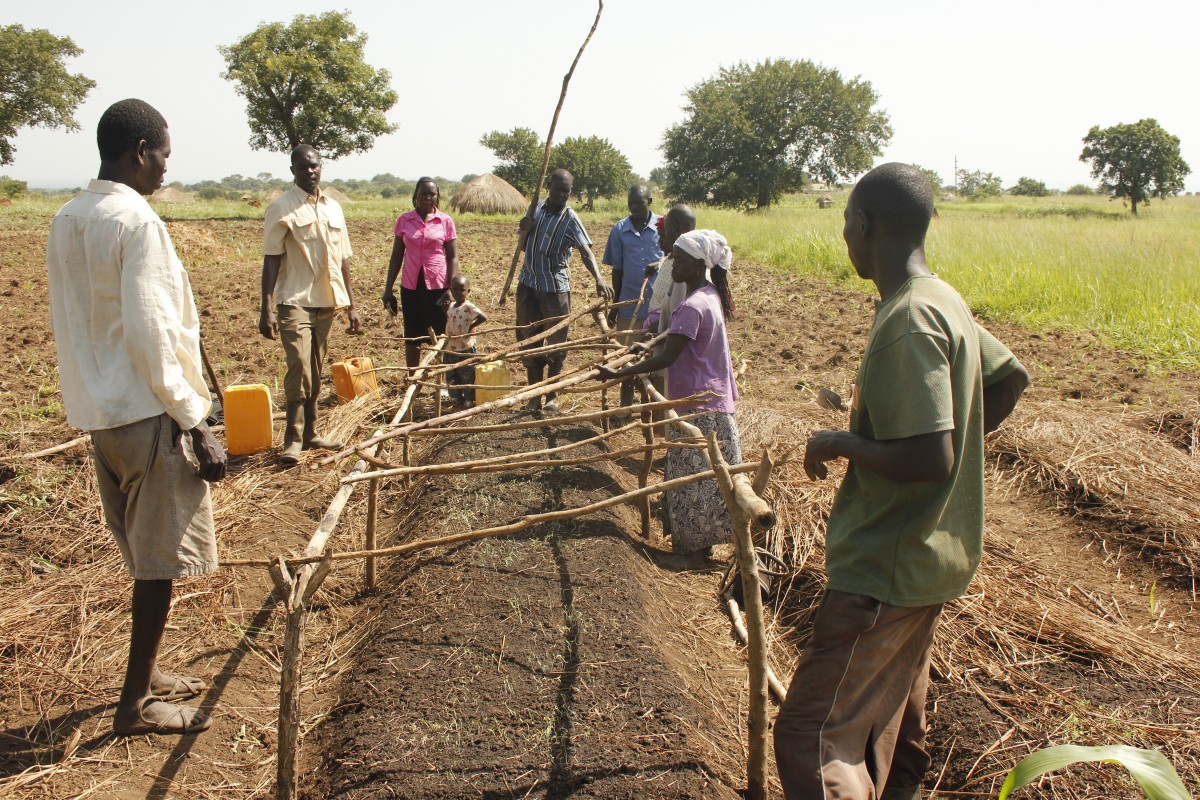 Farming for Education - African Revival